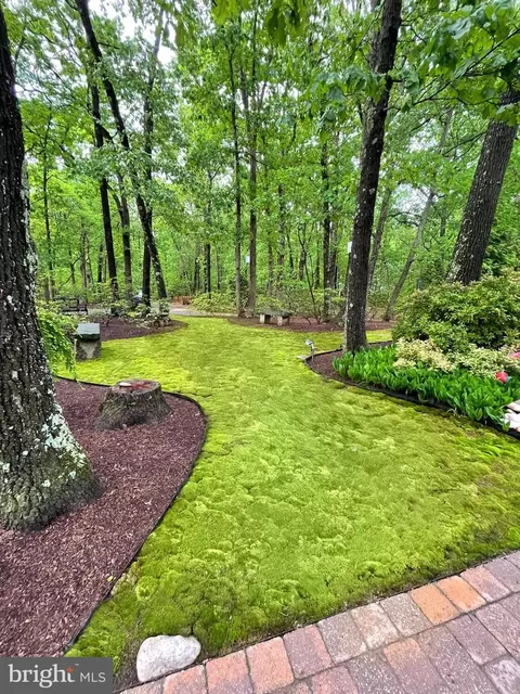 Exterior - 283 Forked Neck Rd, Shamong, NJ 08088 photo 20 of 29