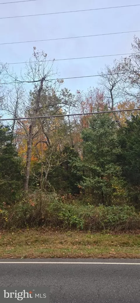 301 Meany Rd, Wrightstown, NJ 08562 photo 4