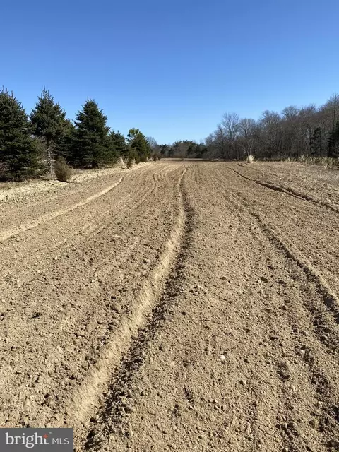 Rt. 206 & Forked Neck Rd, Shamong, NJ 08088 photo 4