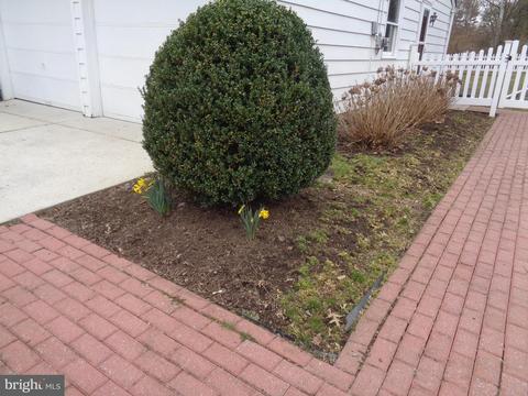 829 Windsor Dr, Cinnaminson, NJ 08077 photo 38