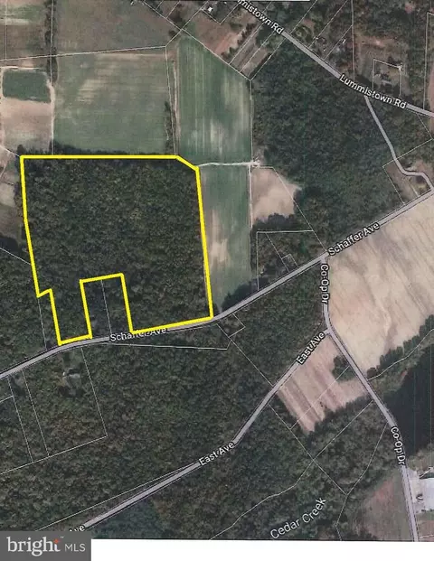 L19 Schafer Avenue, Cedarville, NJ 08311