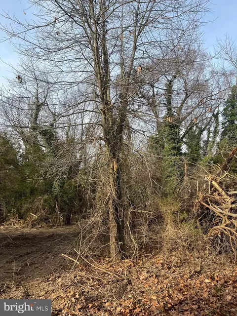 Greenwich Road, Bridgeton, NJ 08302