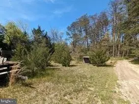 316 Port Elizabeth Cumberland Rd, Millville, NJ 08332