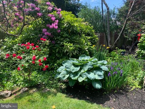 132 Peyton Ave, Haddonfield, NJ 08033 photo 53