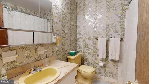 67 Diamond Ave, Pine Hill, NJ 08021 photo 32