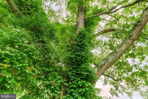 Other - 21 W 5th Ave, Pine Hill, NJ 08021 photo 18 of 24