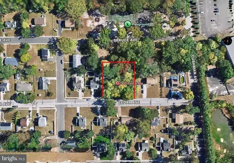 335 Cedar Ave, West Berlin, NJ 08091 photo 2
