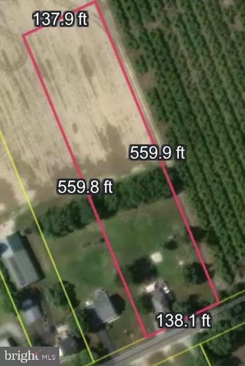 543 Spring Rd, Hammonton, NJ 08037 photo 2