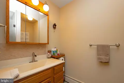 150 W Wolfert Station Rd, Mickleton, NJ 08056 photo 27