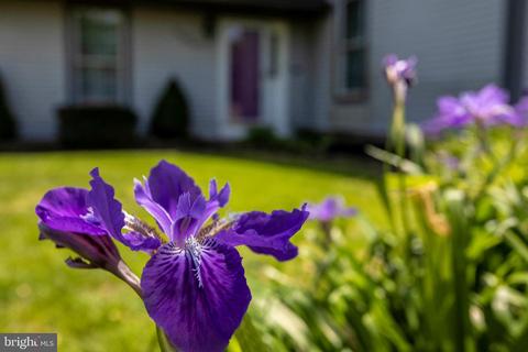 554 Hereford Ln, Mickleton, NJ 08056 photo 11