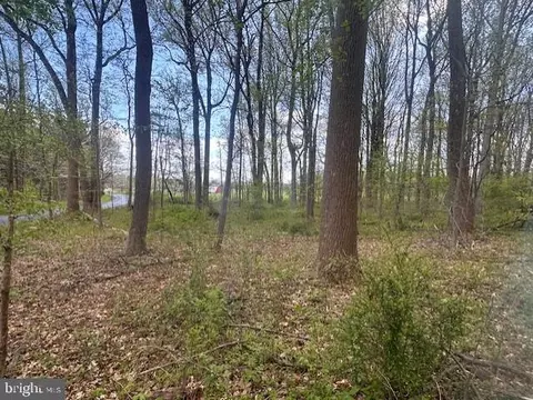 279 Lambertville Headquarters Rd, Stockton, NJ 08559