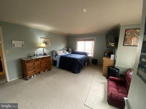 503 Silvia St, Trenton, NJ 08628 photo 14
