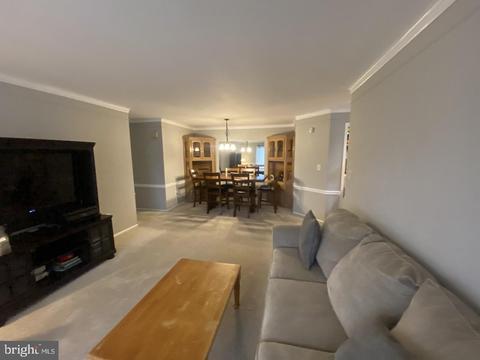 503 Silvia St, Trenton, NJ 08628 photo 5