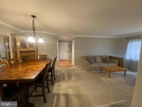 503 Silvia St, Trenton, NJ 08628 photo 6