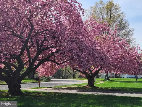 Other - 17 Brophy Dr, Ewing, NJ 08638 photo 2 of 6