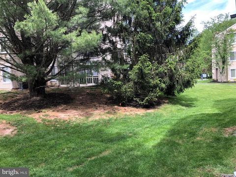 421 Silvia, Ewing, NJ 08628 photo 18
