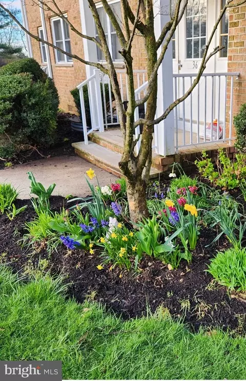 36 G Manchester Ct, Freehold, NJ 07728