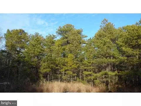 105 Tide Ct, Manahawkin, NJ 08050