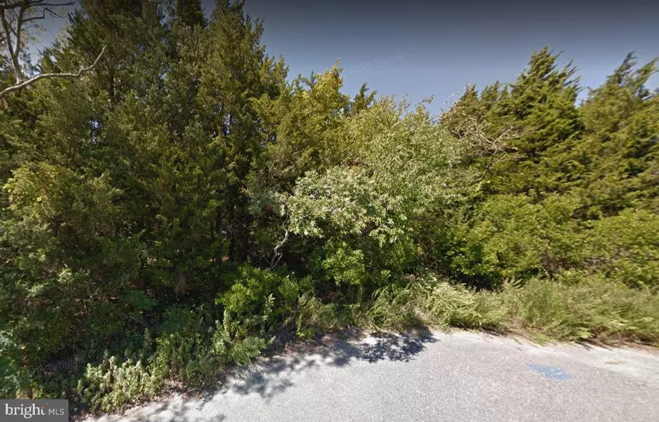  32 Surfside Blvd, Little Egg Harbor Twp, NJ 08087 photo 9