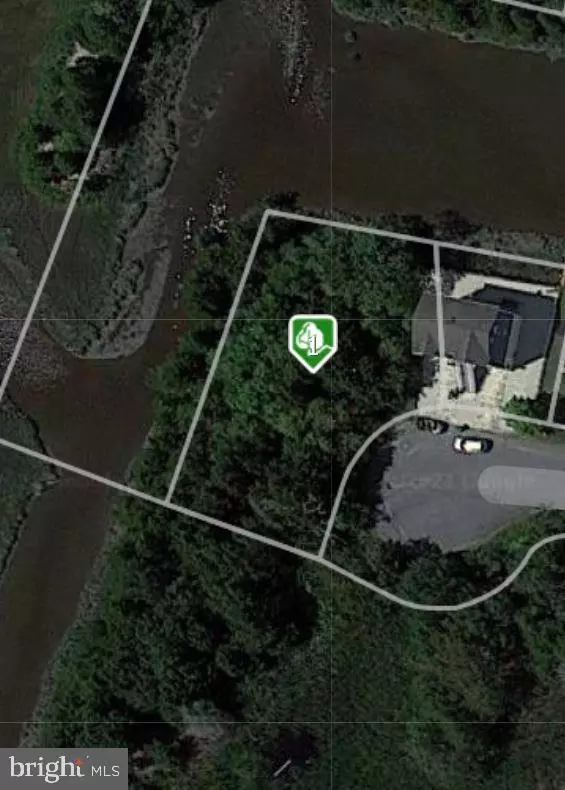  32 Surfside Blvd, Little Egg Harbor Twp, NJ 08087 photo 10