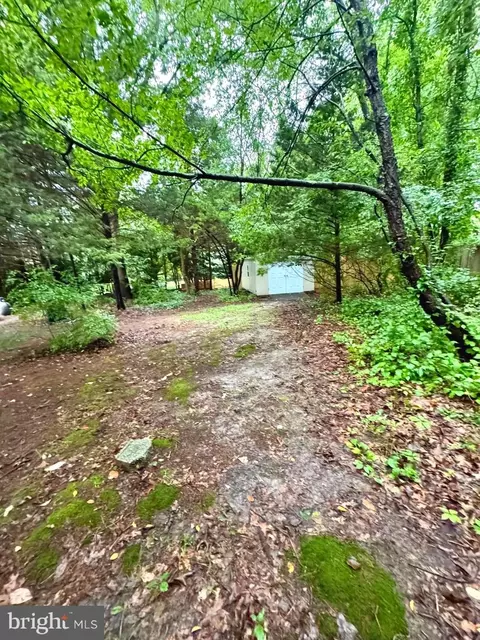 12 Abes Way, Jackson, NJ 08527 photo 22
