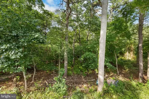 Other - 784 Constitution Dr, Brick, NJ 08724 photo 3 of 6