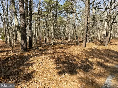 3 Pinewood Dr, Little Egg Harbor Twp, NJ 08087