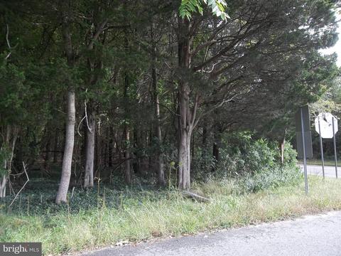 0 Sprague Ave, West Creek, NJ 08092