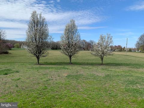 321 Beasley Neck Rd, Salem, NJ 08079 photo 40