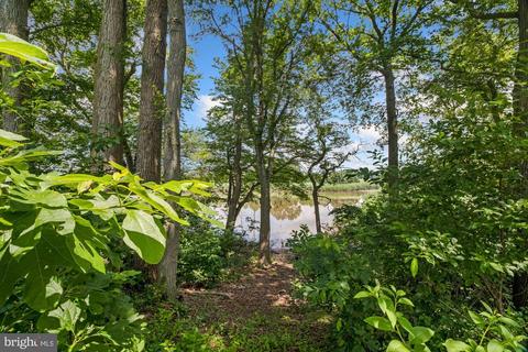 2 Beasley Neck Rd, Salem, NJ 08079 photo 3