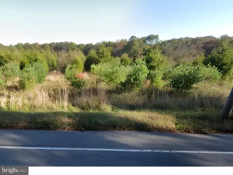 0 Willow Grove Rd, Pittsgrove, NJ 08318