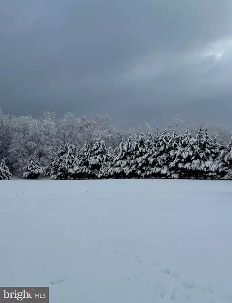 Other - 29 Three Bridge Rd, Monroeville, NJ 08343 photo 18 of 19