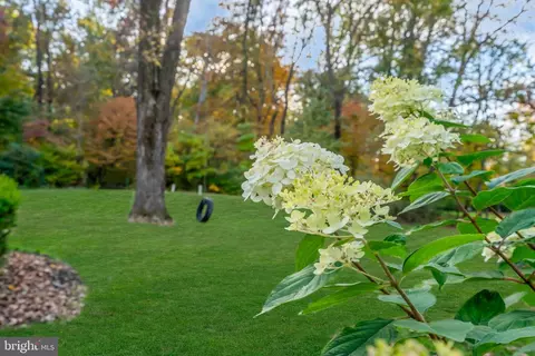 332 Spring Hill Rd, Skillman, NJ 08558 photo 51