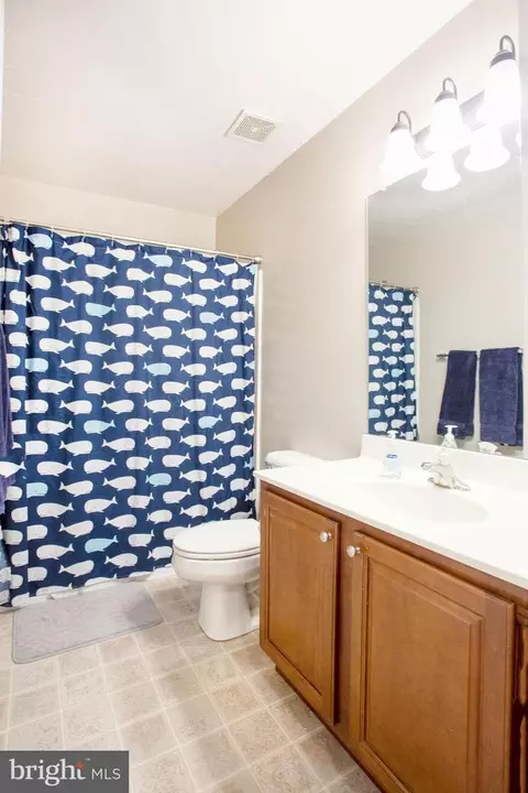 Bath - 295 Maple Dr, Hanover, PA 17331 photo 3 of 4