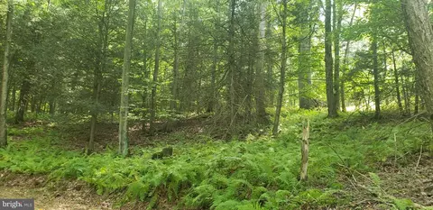 0 Tapeworm Ln, Fairfield, PA 17320