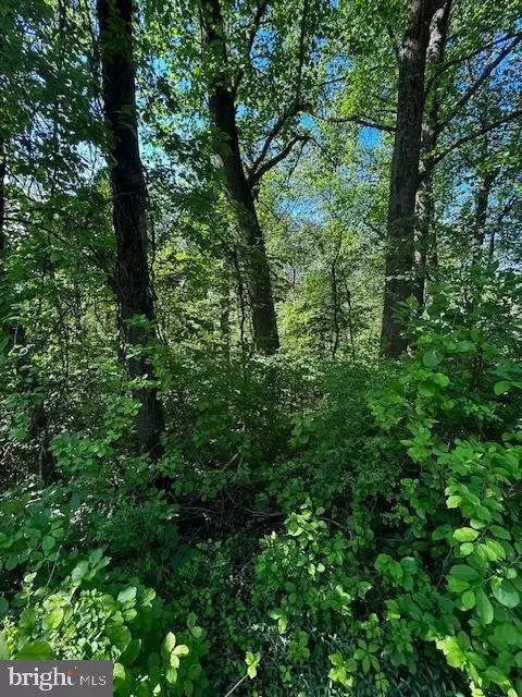 81 Mile Trl, Fairfield, PA 17320