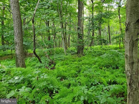 4 Scrub Oak Road, New Paris, PA 15554