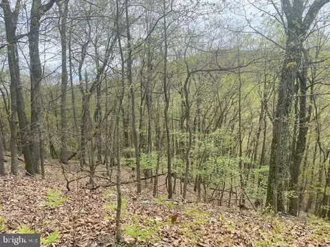 8618 Black Valley Rd, Everett, PA 15537 photo 22