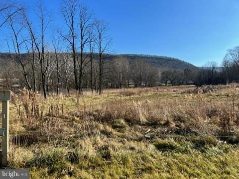 lot X Allegheny Rd, Manns Choice, PA 15550