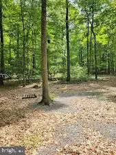 Mosquito Hollow Rd, Six Mile Run, PA 16679