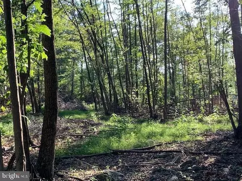 1009 Six Mile Run Rd, Six Mile Run, PA 16679