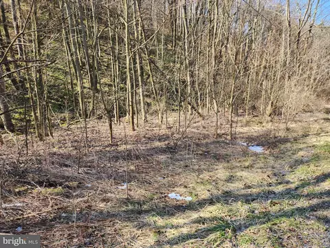 Off Pulpit Road, Woodbury, PA 16695