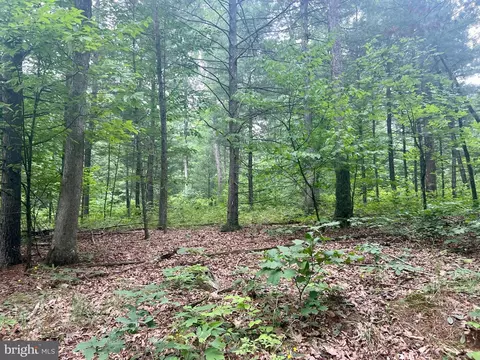 Other - 1079 E Mattie Rd, Everett, PA 15537 photo 41 of 43