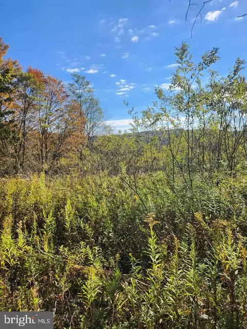 lot S C1-c4 Natures Symphony Rd, Imler, PA 16655