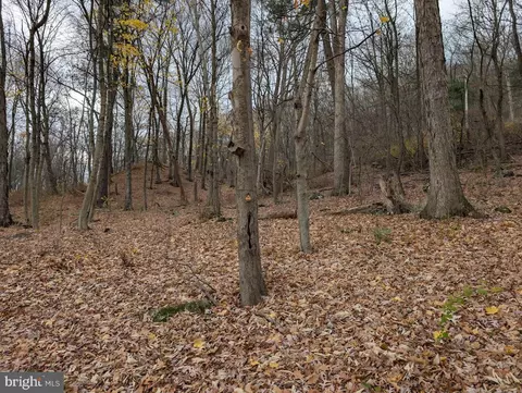 120 Old Woods Rd, Everett, PA 15537 photo 37