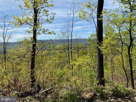 lot6 Polecat Hollow Rd, Hopewell, PA 16650
