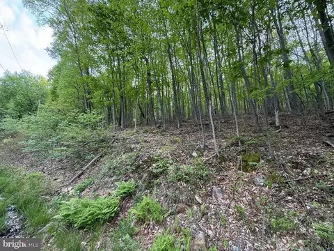 0 Cherry Run Rd, Bedford, PA 15522