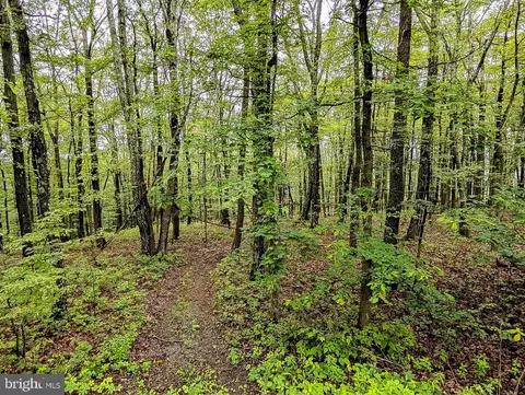 Other - 263 Helixville Rd, Schellsburg, PA 15559 photo 26 of 30