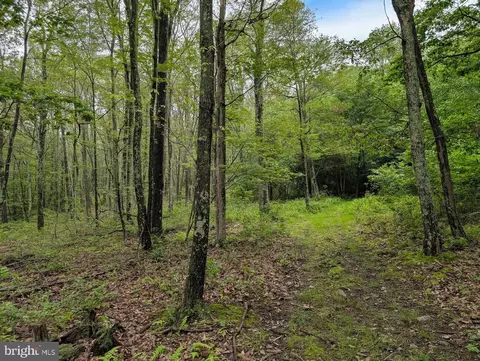 Other - 263 Helixville Rd, Schellsburg, PA 15559 photo 22 of 30