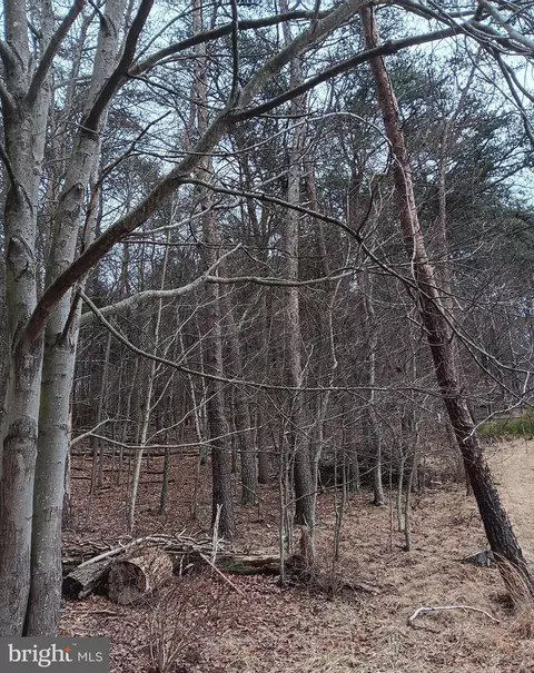 0 Bunker Hill Rd, Everett, PA 15537 photo 5